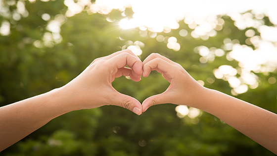 �����������ڲ�tengbo9885�����а������ڲ�tengbo9885������ϢԱ������ҽ�����ʳ�Ԯ�人����һ��