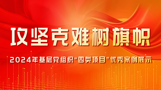 ������������|2024���²㵳��֯��������Ŀ�����참��չʾ